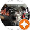 Lisa M. profile picture