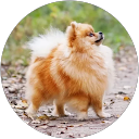 Eva M profile picture