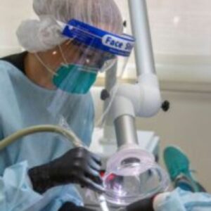 All Smiles Family Dentistry